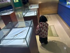 -上海昆虫博物馆