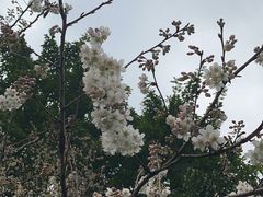 -重庆彩云湖湿地公园