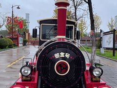 -照金红色旅游名镇