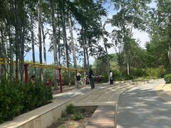 -仁和公园(顺义区)