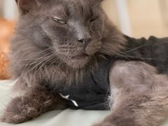 -平行世界·猫咖(首经贸店)