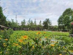 -洪湖家庭农场·团建·露营·会议