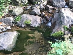 -长谷洞天