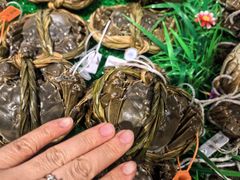 -永辉超市(嘉定宝龙广场店)