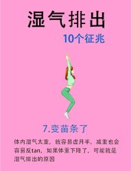 -Fundi张玉珊修身堂·indiba·BTL科技瘦身