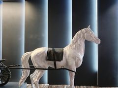 -西安电影制片厂