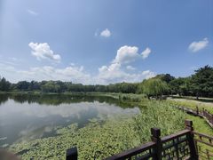 -北坞公园