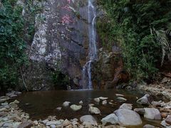 -海南霸王岭国家森林公园