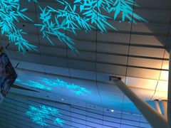 -TIAT DUTY FREE SHOP NORTH(羽田机场店)