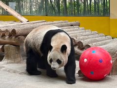 -杭州野生动物世界