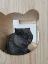 -Moni星球萌宠·小马宝莉·灵蛇·高端高阶全萌宠互动体验俱乐部(红豆国际广场店)