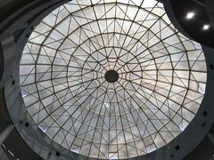 -陈三娃泡姜鸡(太白北路店)