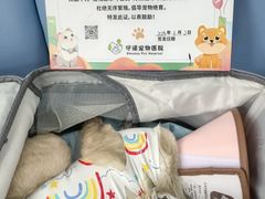 -守诺宠物医院·眼科· 特色牙科·异宠专科(虹口店)
