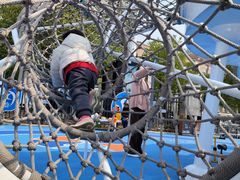 -洪山体育馆篮球馆