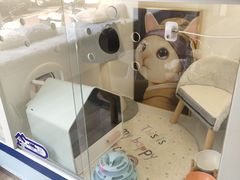 -拜鲁耶动物诊疗中心·宠家动物医院