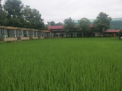 -洪湖家庭农场·团建·露营·会议