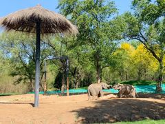 -北京野生动物园