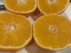 -四季民福烤鸭店(望京南湖东园店)