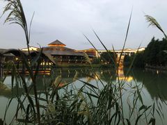 -乌村