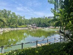 -莲湖公园
