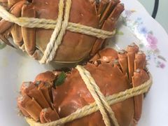 阳澄湖大闸蟹-黄记大闸蟹专卖店·活蟹·醉蟹