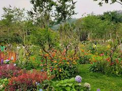 -深圳仙湖植物园