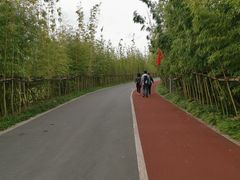 -上海长兴岛郊野公园