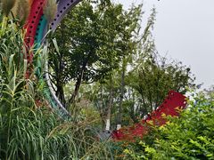 -府河摄影公园