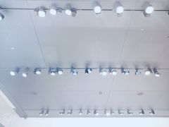 -BLACKSWAN黑天鹅(环球店)
