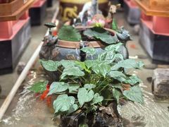 -正阳门饭庄·烤鸭·北京菜(万丰路七里庄店)
