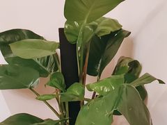 -渝信川菜(西单店)