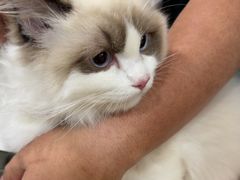 -佳雯宠物医院·皮肤科·内外科(春晓路分院)