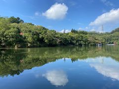 -深圳仙湖植物园