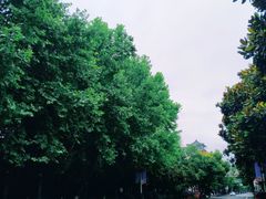 -漁耕小厨农家院(武当山店)