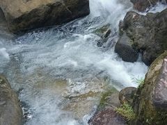 -广州白江湖森林公园