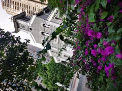 -重庆市江北嘴中央商务区中央公园