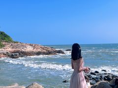 -广东惠东海龟国家级自然保护区