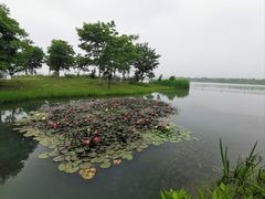 -海宁鹃湖公园