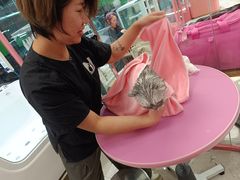 -FAELING PETS美天灵宠物(合生汇店)