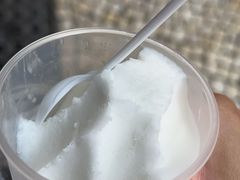 -洪馨椰子