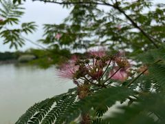 -苏州太湖国家湿地公园
