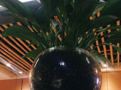 -茅庐印象(丁豪广场店)