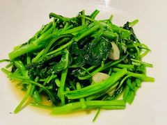 -柿合缘新京菜(国金中心商场店)
