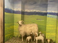 -清真·益鑫羊肉手抓馆(花园北街店)