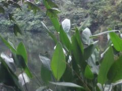 -黔灵山公园-南门售票处