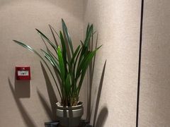 -汉仁宫·古法按摩·足道·SPA(南山中心店)