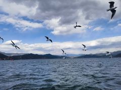 -丽江泸沽湖景区