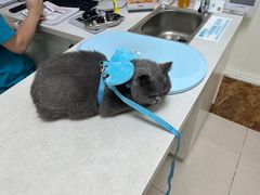 -美联众合24小时·皮肤科·外科·全科诊疗中心(华苑分院)