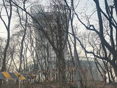 -南京老山国家森林公园