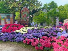 -上海鲜花港